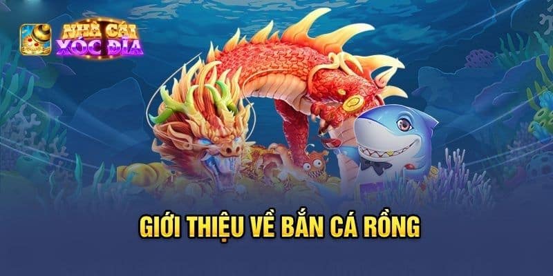 bắn cá rồng