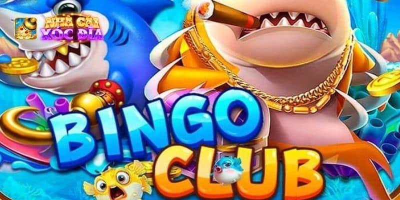 bingo club bắn cá