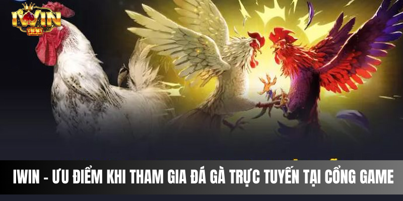 IWIN - Ưu điểm khi tham gia đá gà trực tuyến tại cổng game